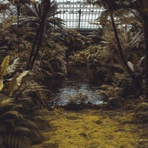 drivhus